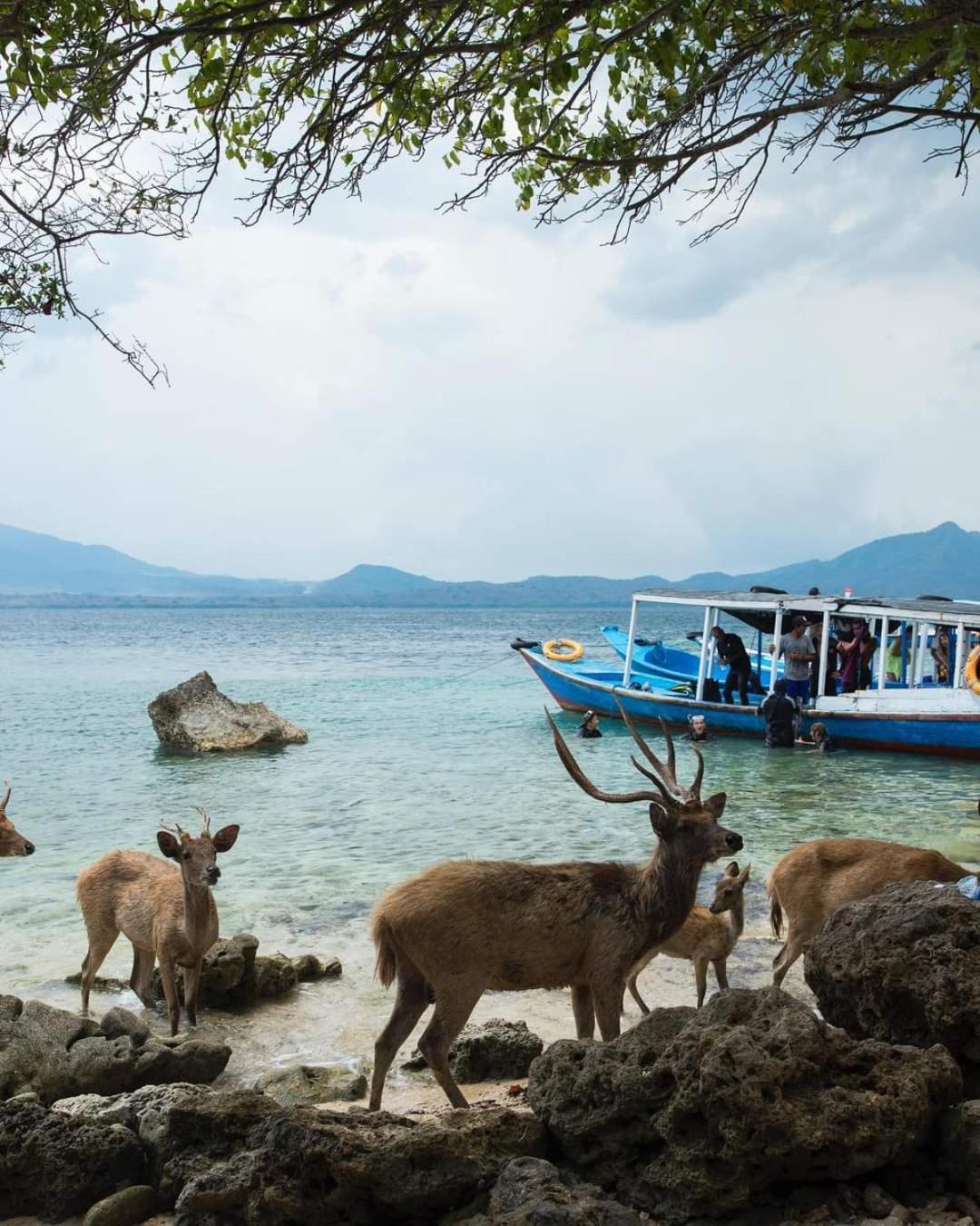 Putu Guest House Pemuteran エクステリア 写真