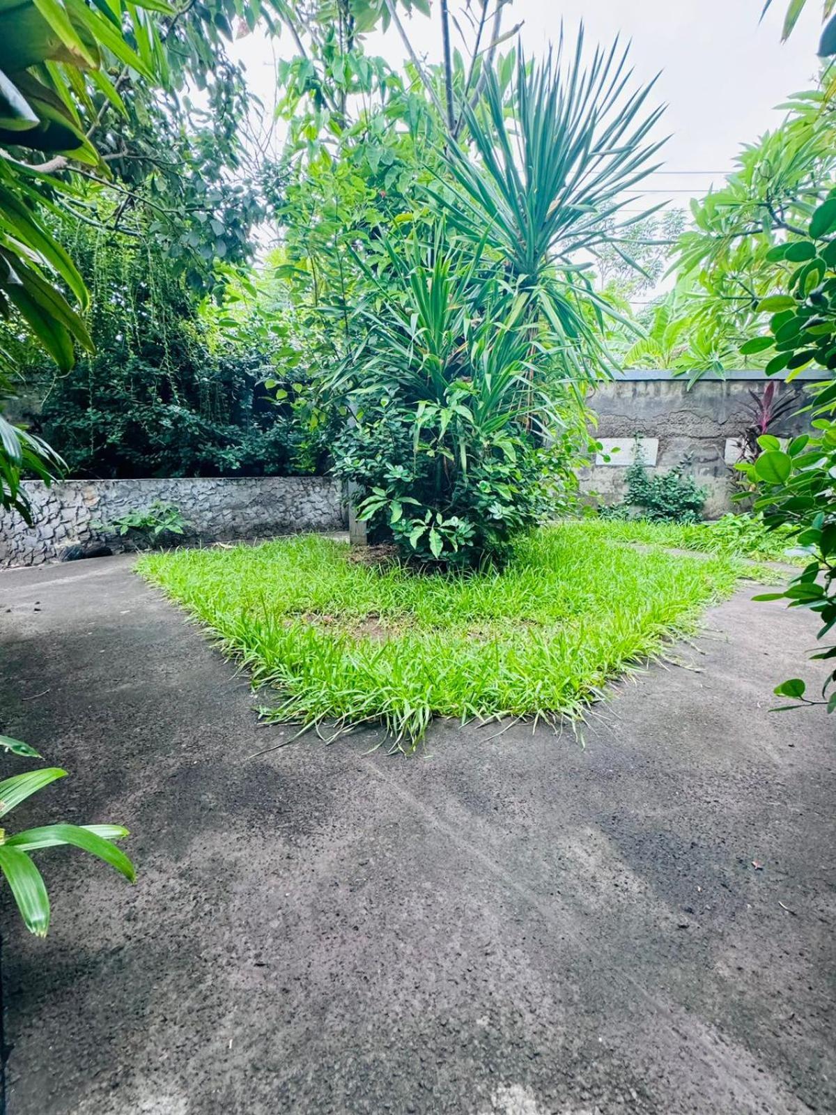 Putu Guest House Pemuteran エクステリア 写真