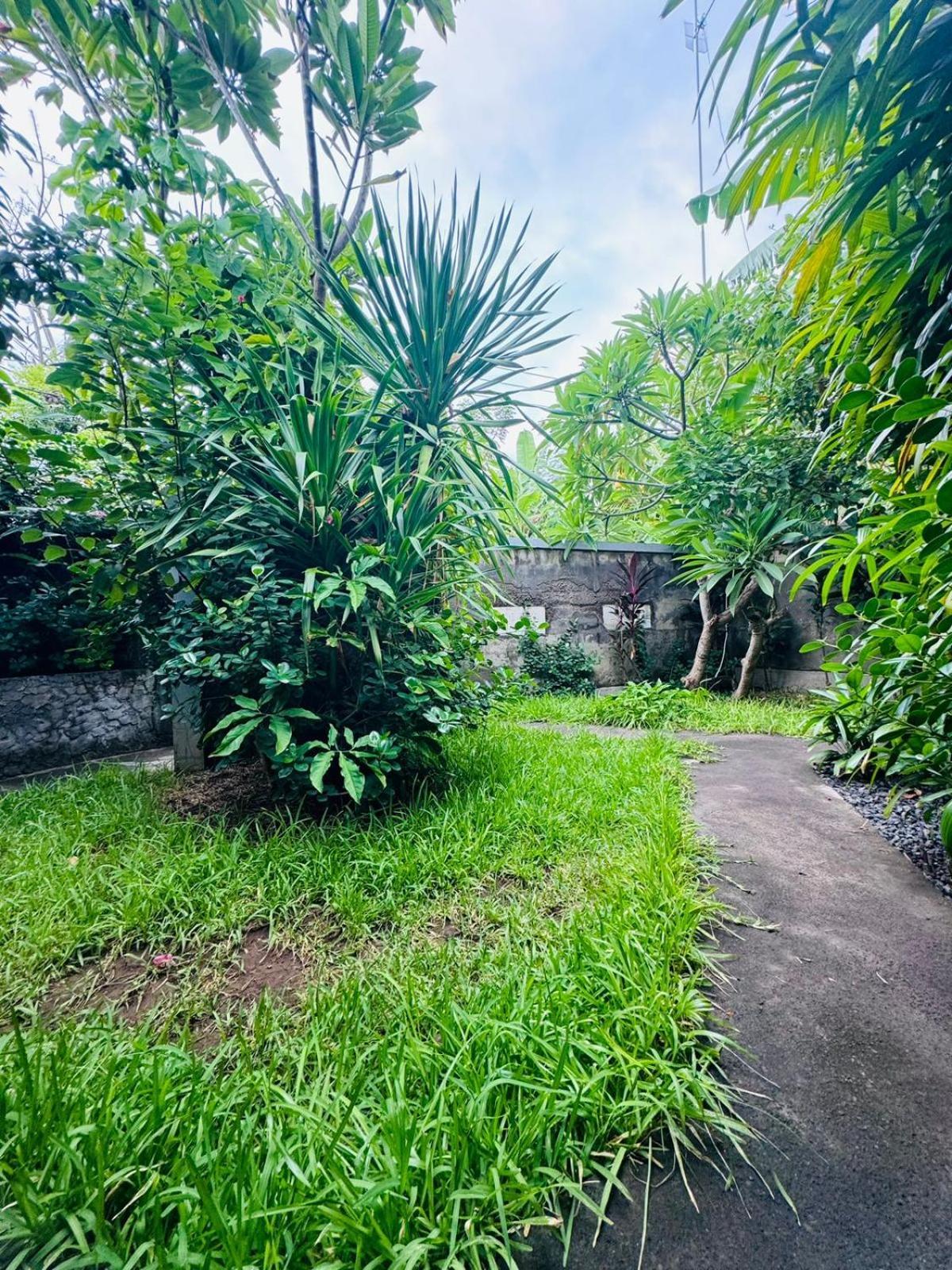 Putu Guest House Pemuteran エクステリア 写真