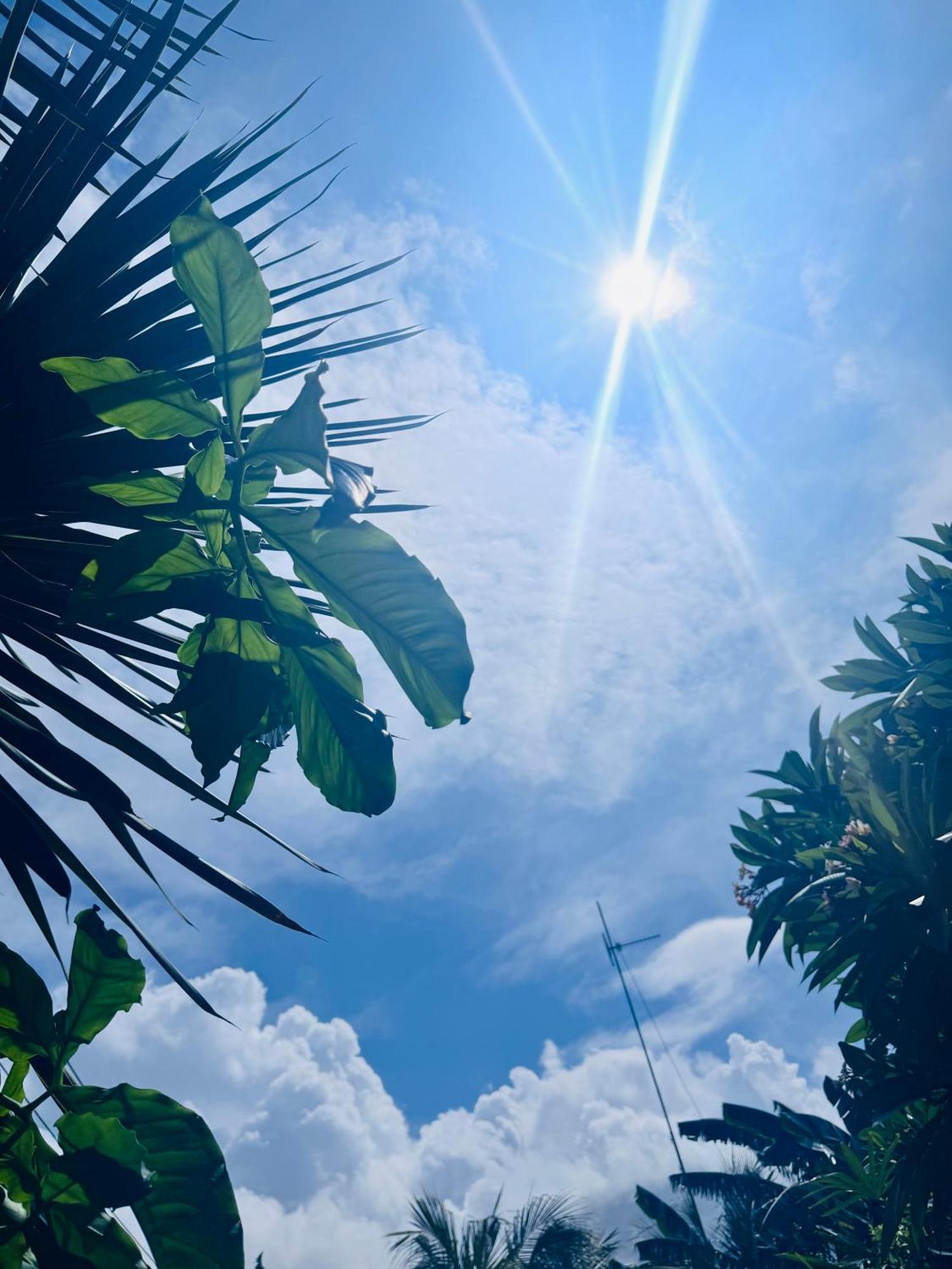 Putu Guest House Pemuteran エクステリア 写真